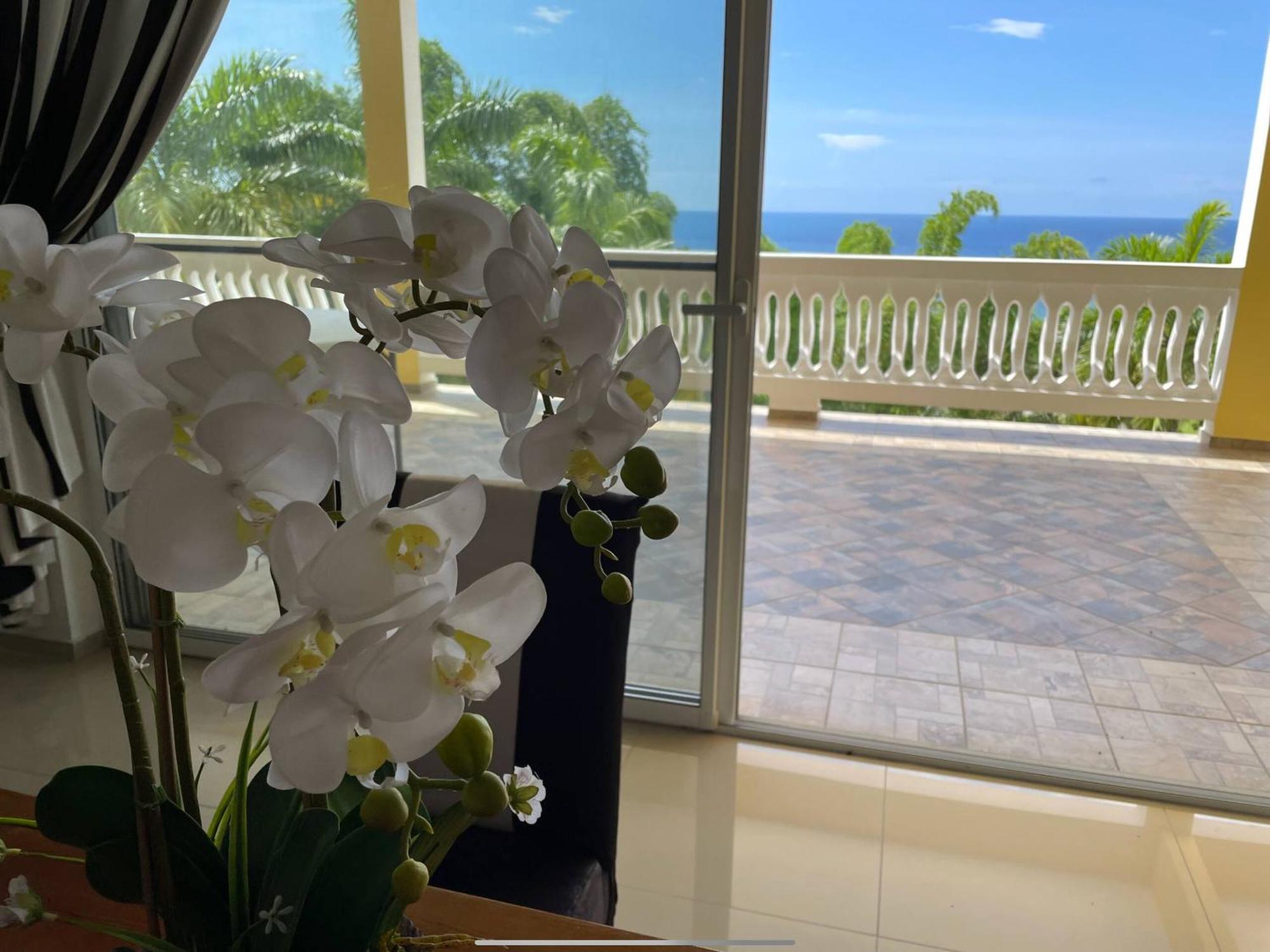 Spring Garden Mobay Resort Montego Bay Exterior foto